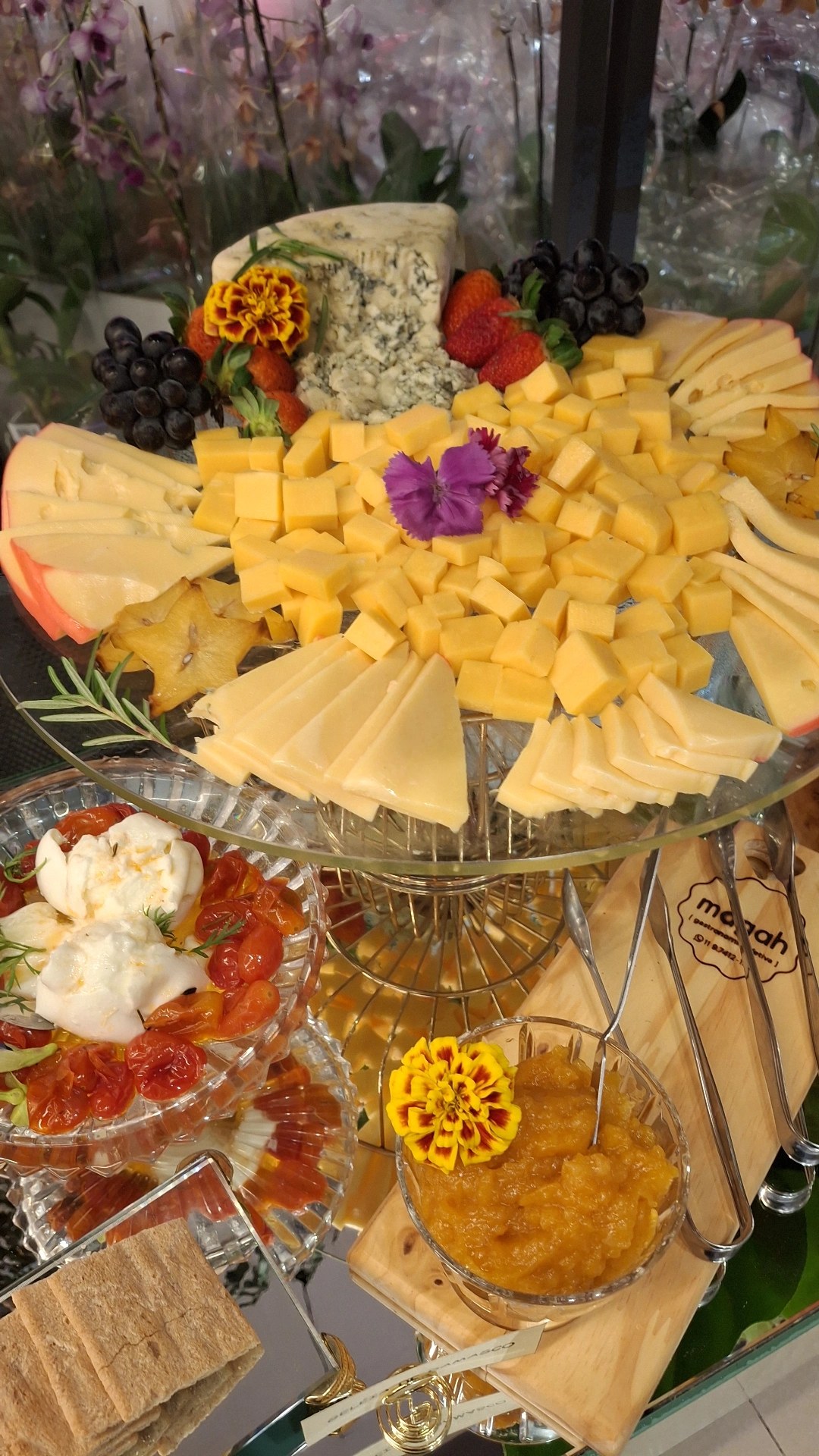 Coquetel e Finger Food